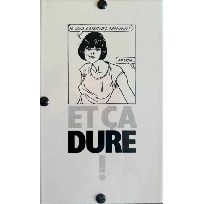 Bernard Lermite - L'éternel féminin dure (J'ai lu) - TT 1989 plaques en email - 1