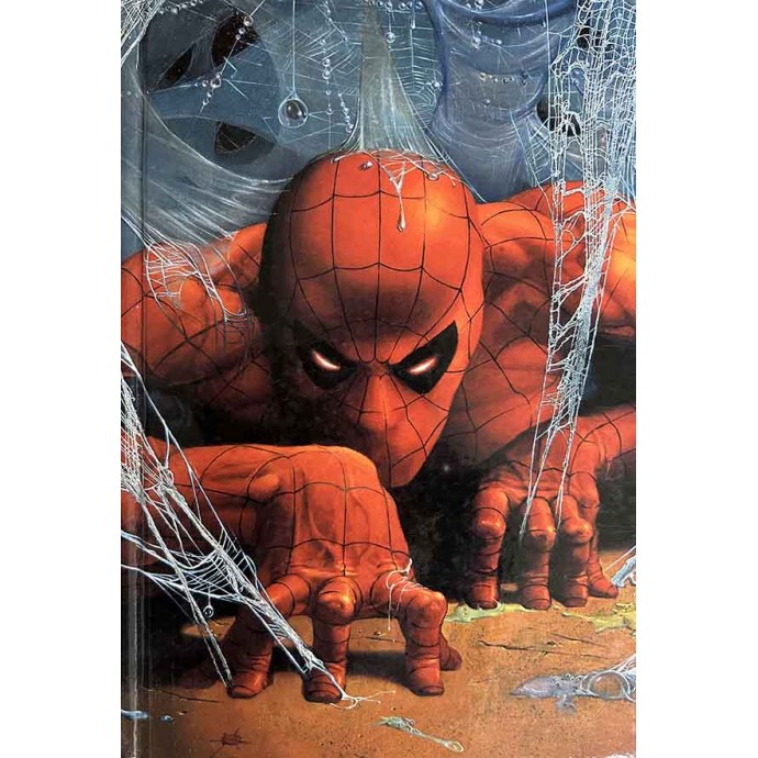 Encyclopédie Marvel - Spiderman - EOF 2004 + jaquette - 2
